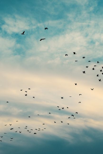 Secure Cloud Migration: Best Practices for AWS, Azure & GCP Deployments